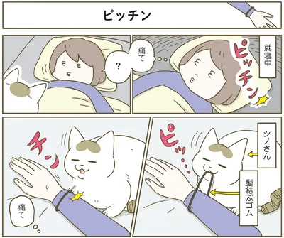 『うちの猫がまた変なことしてる。７』より