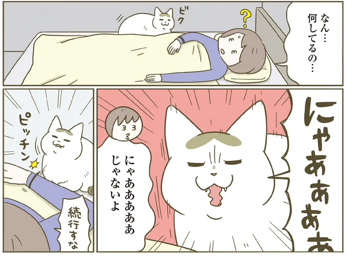 『うちの猫がまた変なことしてる。７』より