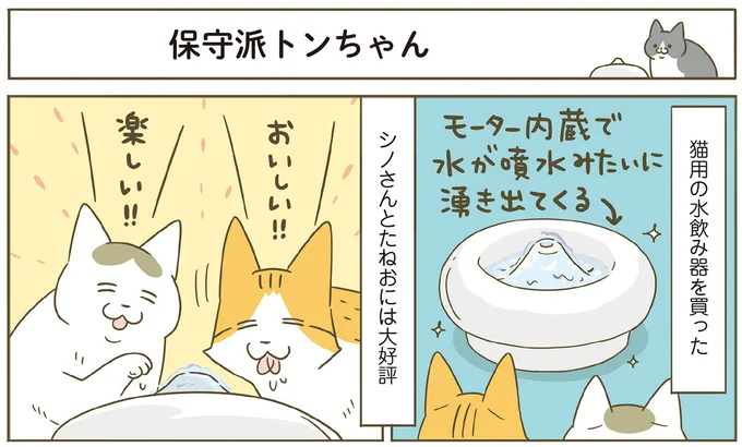 『うちの猫がまた変なことしてる。７』より