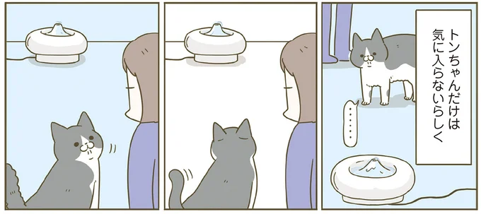 『うちの猫がまた変なことしてる。７』より