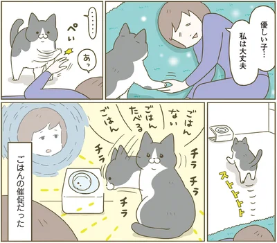 『うちの猫がまた変なことしてる。７』より