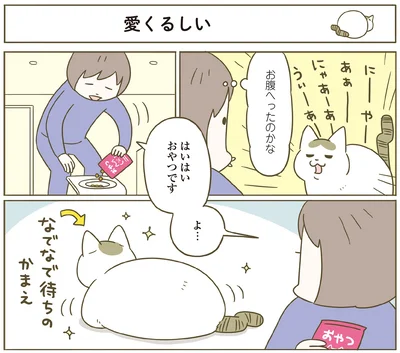 『うちの猫がまた変なことしてる。７』より