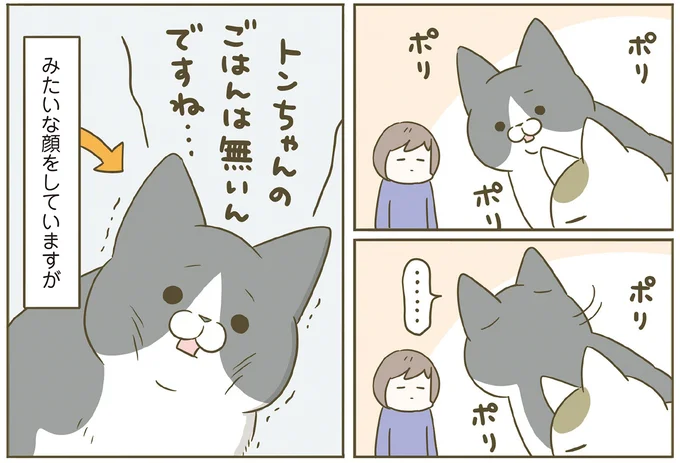 『うちの猫がまた変なことしてる。７』より