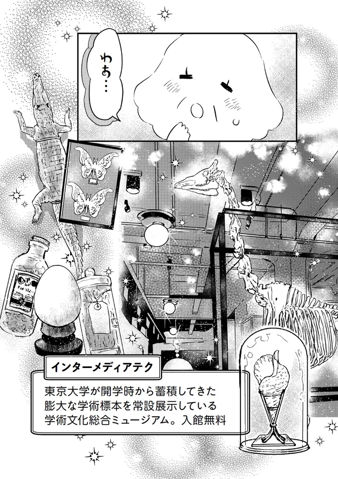 『小鳥をつれて旅にでる』より
