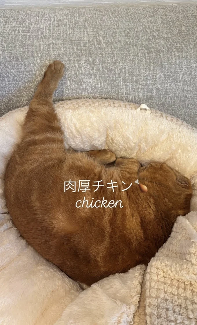 美味しそうな肉厚チキンみたい▶体以外も…（⇒次へ）