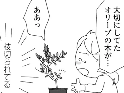 玄関先の靴がなくなり、観葉植物の枝は切られ…
