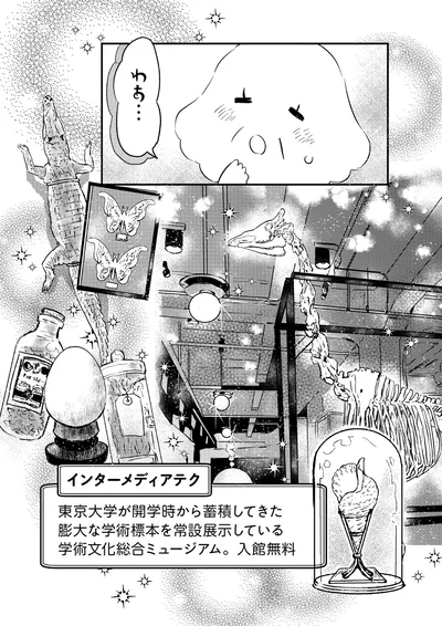 わぁ...