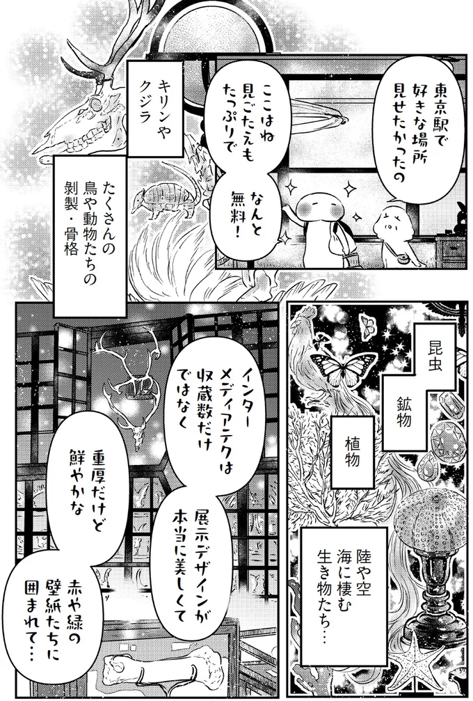 ここはね、見ごたえもたっぷりでなんと無料！