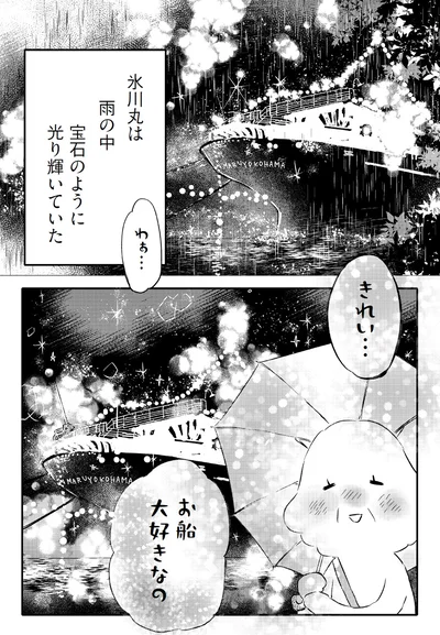 氷川丸は雨の中宝石のように光輝いていた