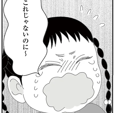 これじゃないのに～