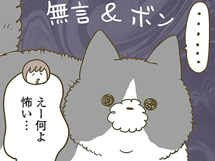 無言＆ボン！ 毛が逆立ってひと回り大きくなっている猫の謎