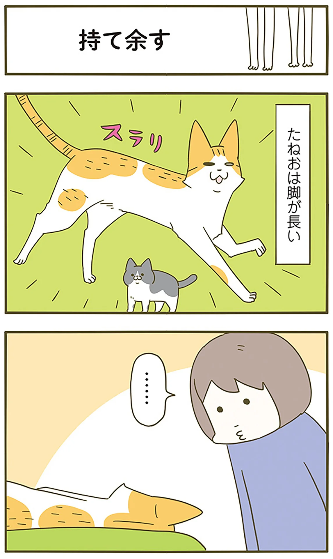 絡んでくる後輩猫にお帰りいただきたい先輩猫。一番効く対応は