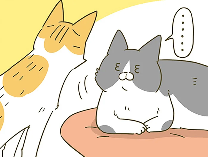 絡んでくる後輩猫にお帰りいただきたい先輩猫。一番効く対応は？