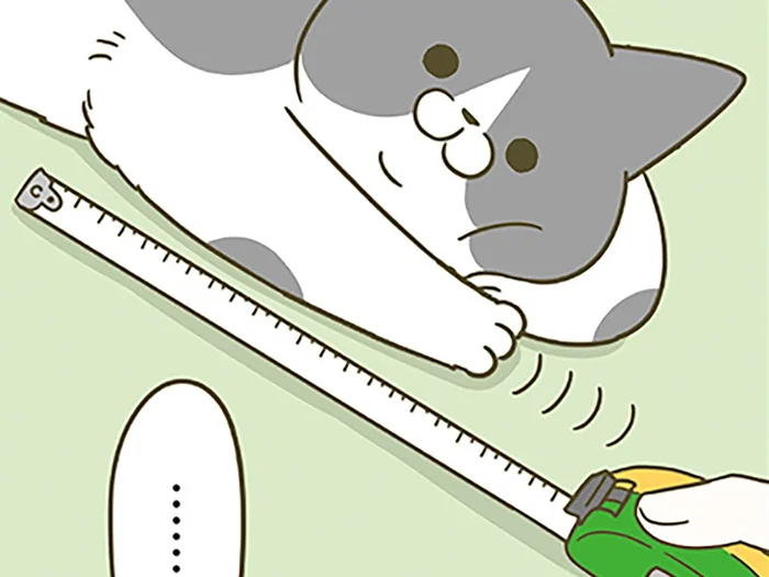 体型が違う3匹の猫、脚の長さの差が気になる！飼い主は測ってみるも
