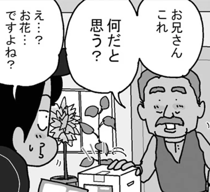 これ　何だと思う？