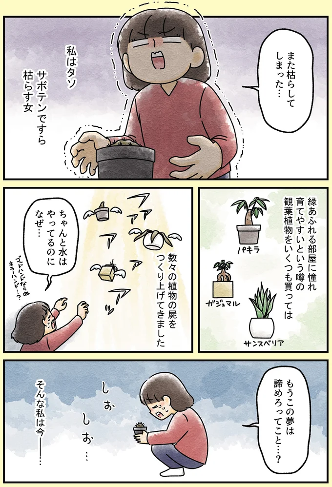 また枯らしてしまった…