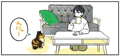 んにゃー