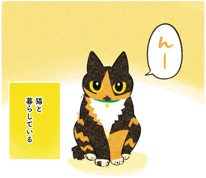 猫と暮らしている