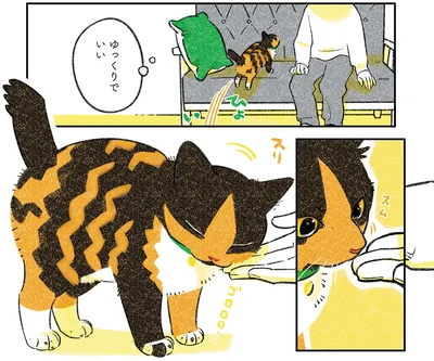 ゆっくりでいい