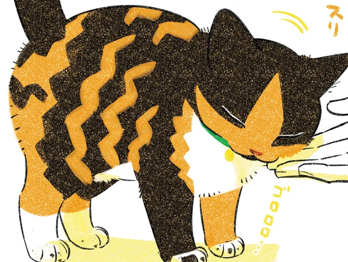 何度も呼んで、撫でて、話して。ゆっくり少しずつ猫と仲良くなっていこう