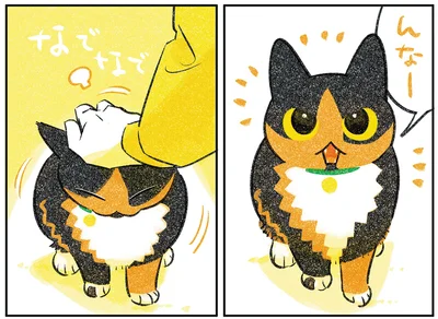 『ひび猫にっき』より