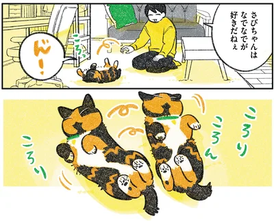 『ひび猫にっき』より