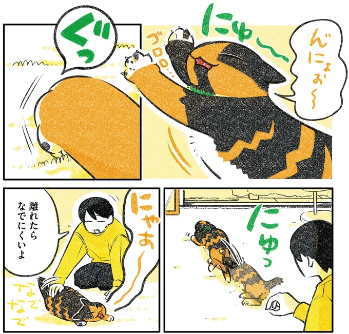 『ひび猫にっき』より