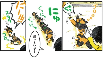 『ひび猫にっき』より