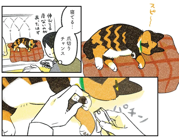 『ひび猫にっき』より