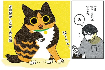 『ひび猫にっき』より