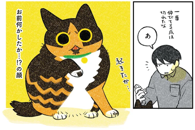 『ひび猫にっき』より