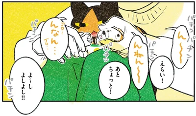 『ひび猫にっき』より