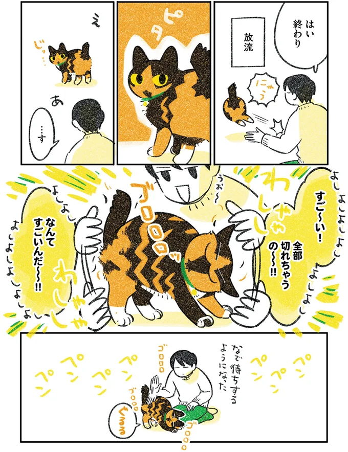 『ひび猫にっき』より