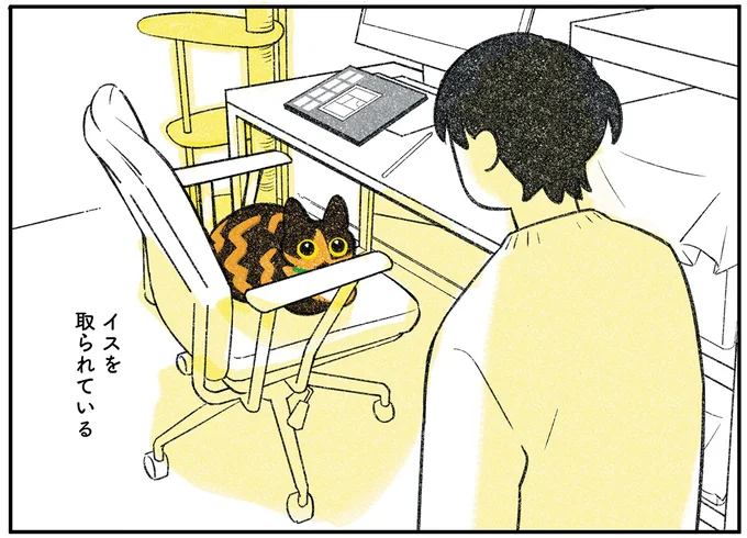『ひび猫にっき』より