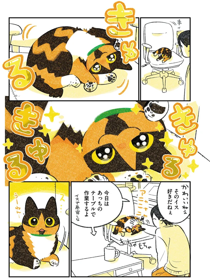 『ひび猫にっき』より