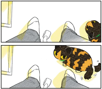 『ひび猫にっき』より