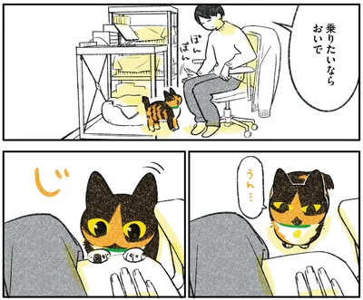 『ひび猫にっき』より