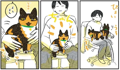 『ひび猫にっき』より