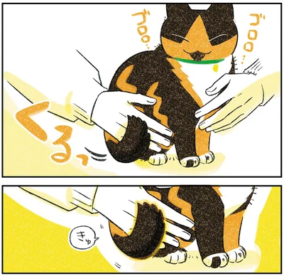 『ひび猫にっき』より