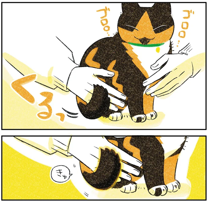 『ひび猫にっき』より