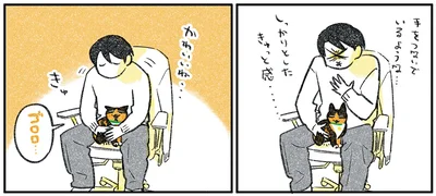 『ひび猫にっき』より