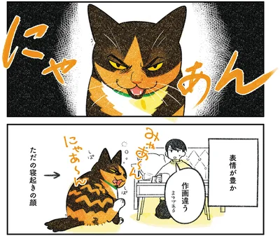 『ひび猫にっき』より