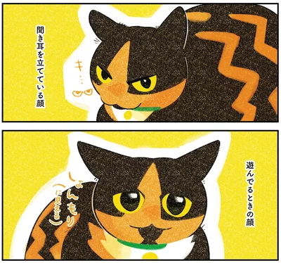 『ひび猫にっき』より