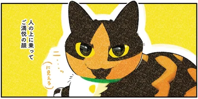 『ひび猫にっき』より