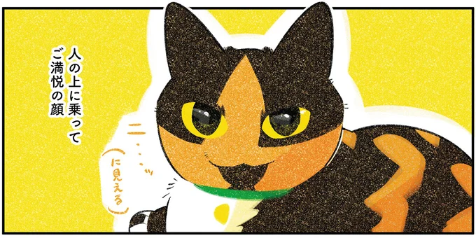 『ひび猫にっき』より
