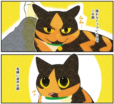 『ひび猫にっき』より