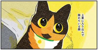 『ひび猫にっき』より