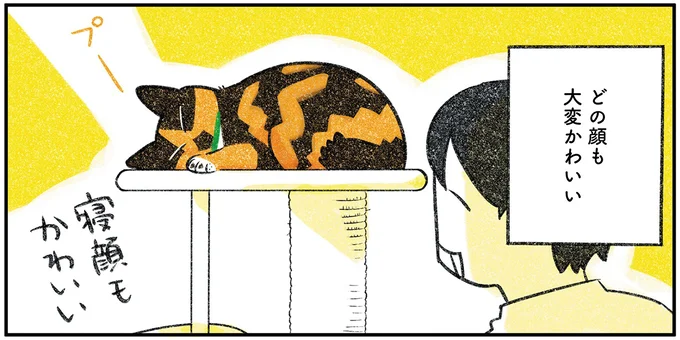 『ひび猫にっき』より