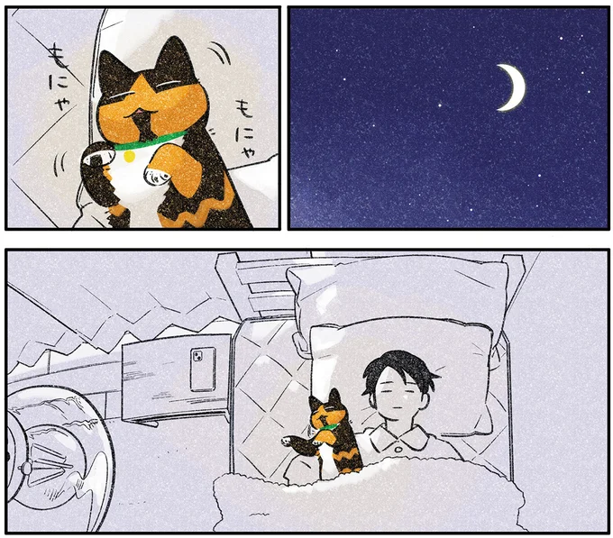 『ひび猫にっき』より