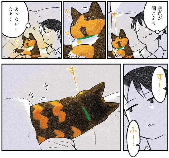 『ひび猫にっき』より